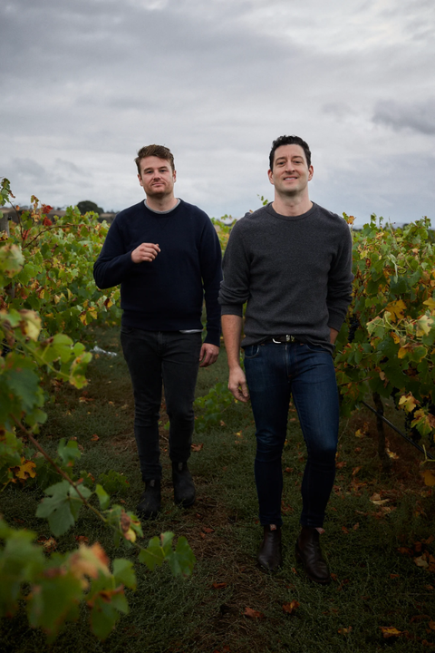 2024 Mulline Pinot Gris