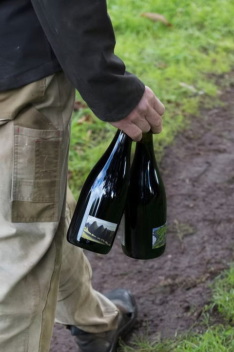 2026 William Downie 'Tolmie' Pinot Noir