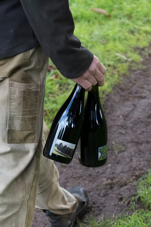 2024 William Downie 'Mornington Peninsula' Pinot Noir