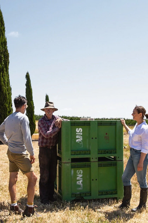 2023 Lansdowne 'Gris Skin' Pinot Gris
