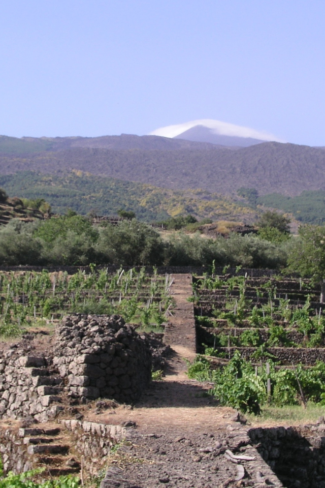 2018 Alice Bonaccorsi 'Valcerasa' Etna Rosso