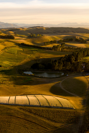 2021 Pyramid Valley Central Otago 'Manata' Pinot Noir