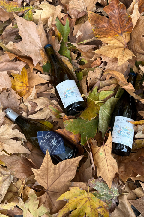 2023 Sextant - Julien Altaber Bourgogne Blanc