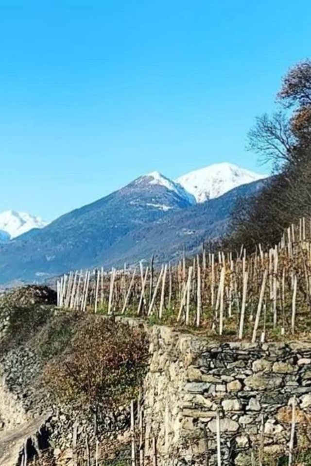 2022 Barbacan 'Alpi Retiche' Rosso