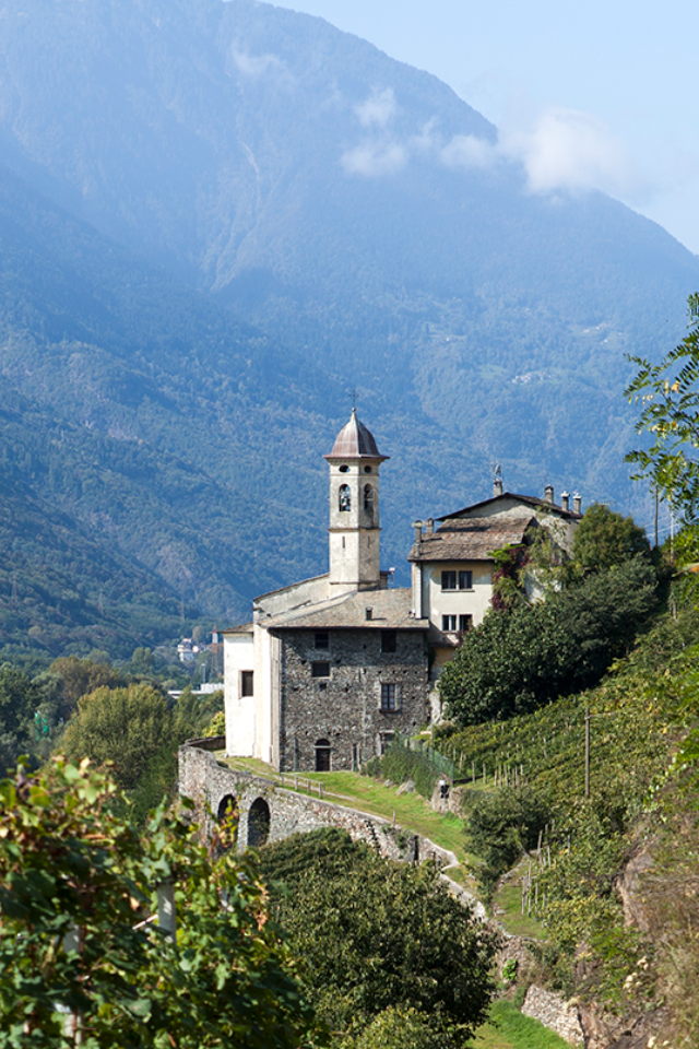 2022 Rainoldi 'San Gregorio' Rosso di Valtellina