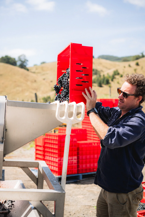2025 Xavier Goodridge 'Avon' Pinot Noir