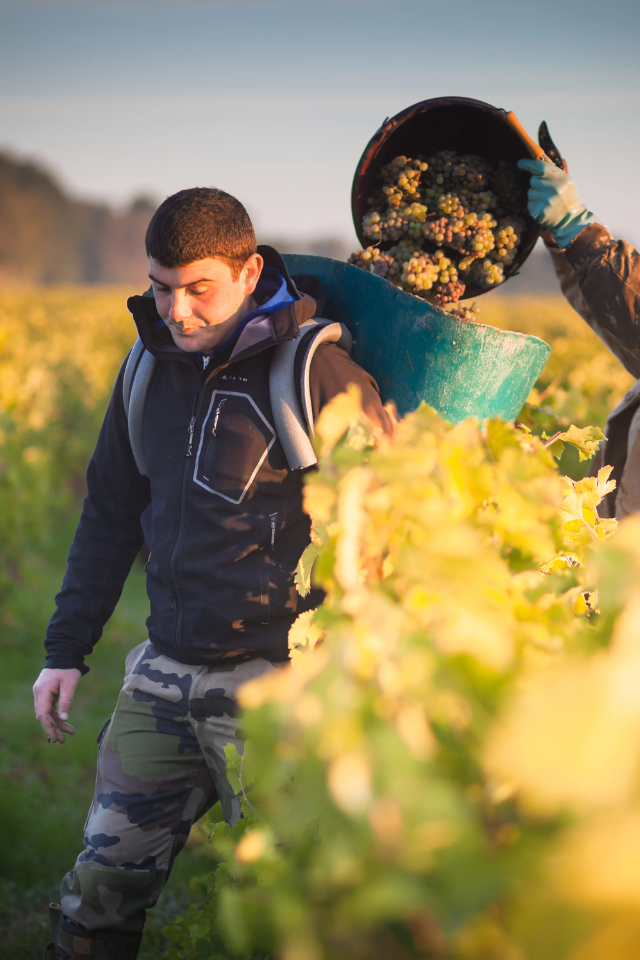 2019 Domaine Francois et Julien Pinon 'Vouvray' Brut Non Dose