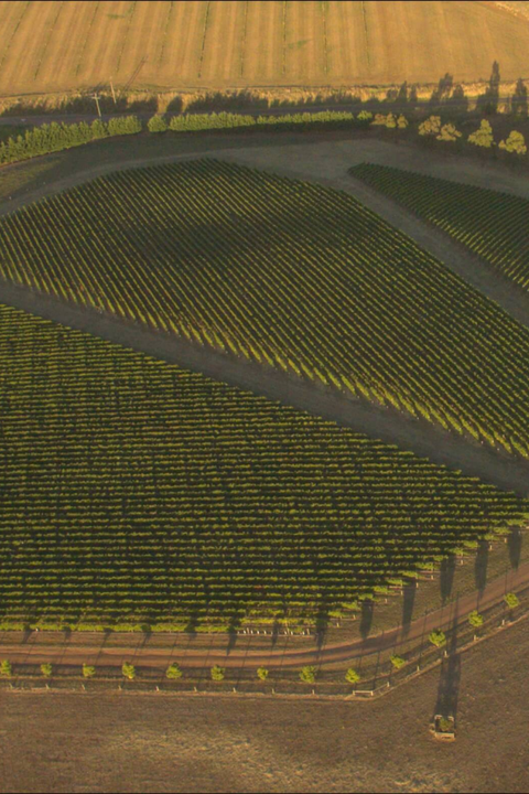 2025 By Farr Chardonnay