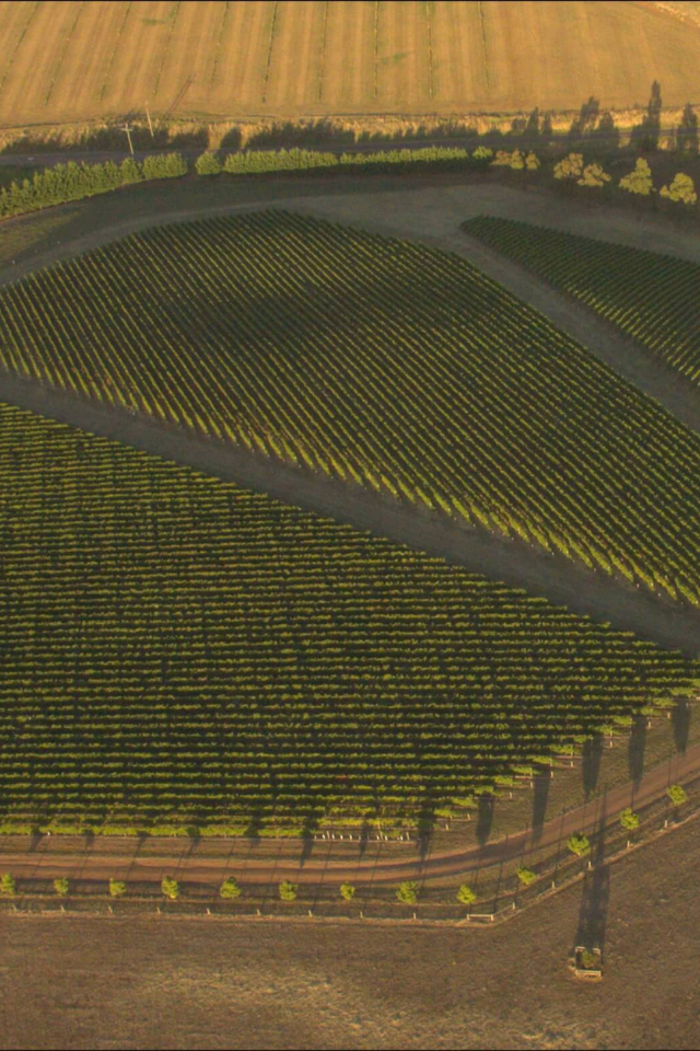 2024 By Farr Chardonnay