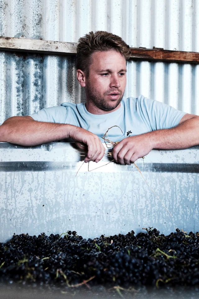 2024 Two Tonne Tasmania TMV Pinot Noir