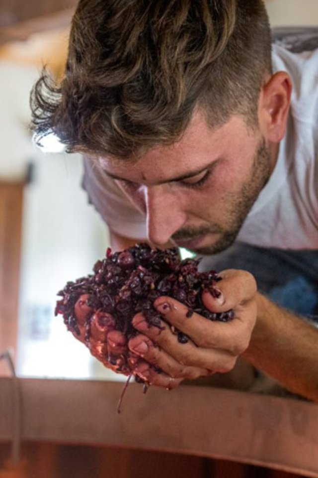 2022 Bruno Rocca 'Fralù' Langhe Nebbiolo