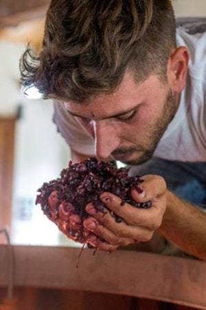 2022 Bruno Rocca 'Fralù' Langhe Nebbiolo
