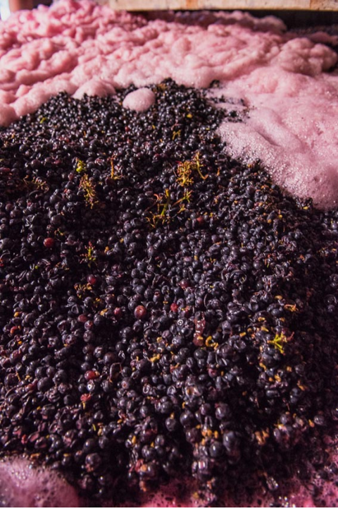 2022 Boris Champy 'Bignon 421' Bourgogne Hautes-Côtes de Beaune (Pinot Noir)