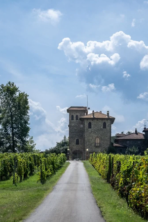 2006 La Stoppa 'della Stoppa' Barbera