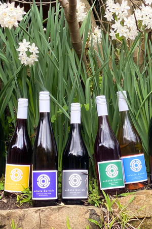 2025 Ochota Barrels 'Surfer Rosa' Grenache Rosé