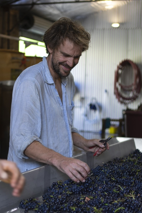 2025 'Eurilla' Pinot Noir
