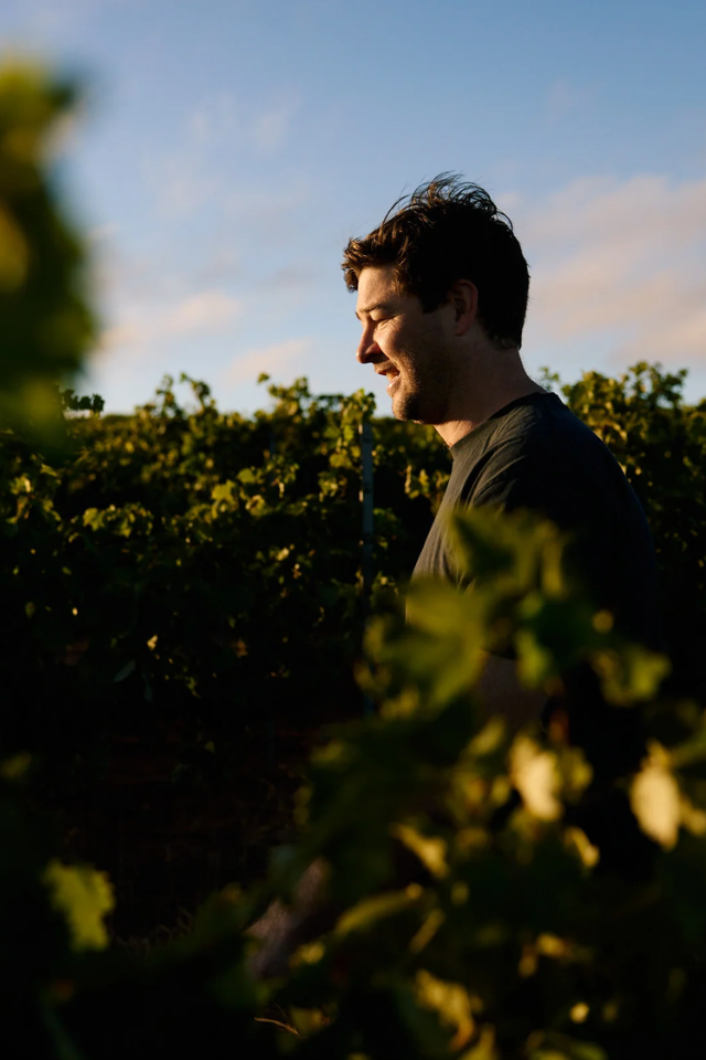 2023 Gullyview 'Countryside' Cabernet Sauvignon