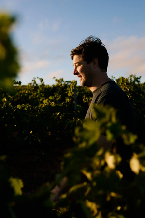 2023 Gullyview 'Countryside' Cabernet Sauvignon