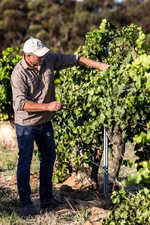 2025 Spinifex Rosé