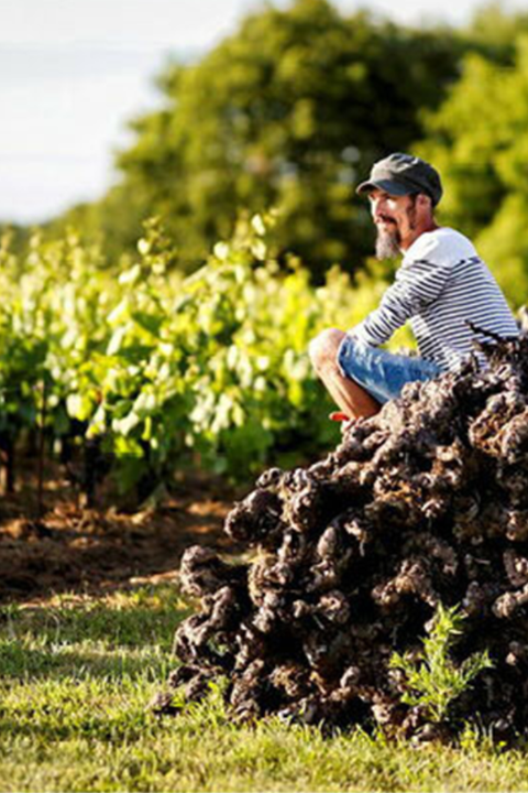 2024 Muscadet sur Lie 'Les Prieres' Melon de Bourgogne