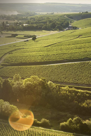 2023 Domaine Gueguen Chablis