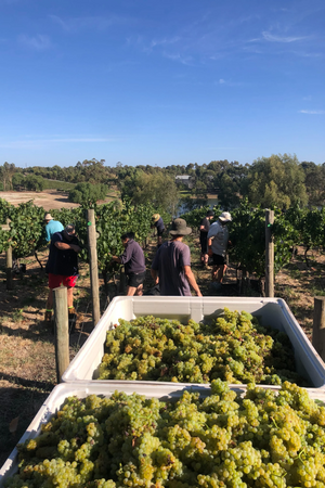 2024 Bannockburn Riesling