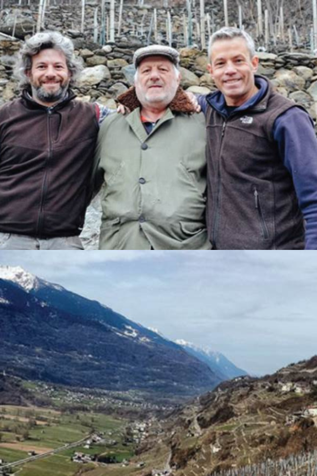 2022 Barbacan 'Alpi Retiche' Rosso