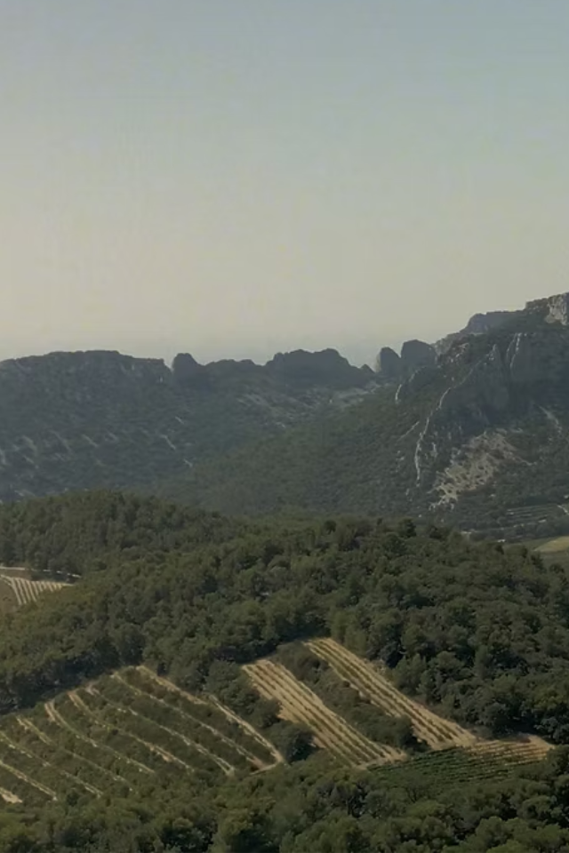 2022 Boutinot 'Les Coteaux' Côtes du Rhône
