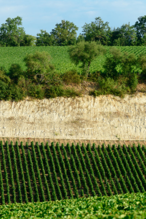 R-20 Pierre Gerbais 'Grains de Celles' Extra Brut