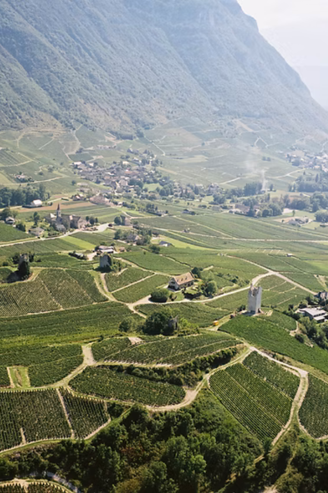 2023 Domaine Adrien Berlioz 'La Pepie' Jacquere
