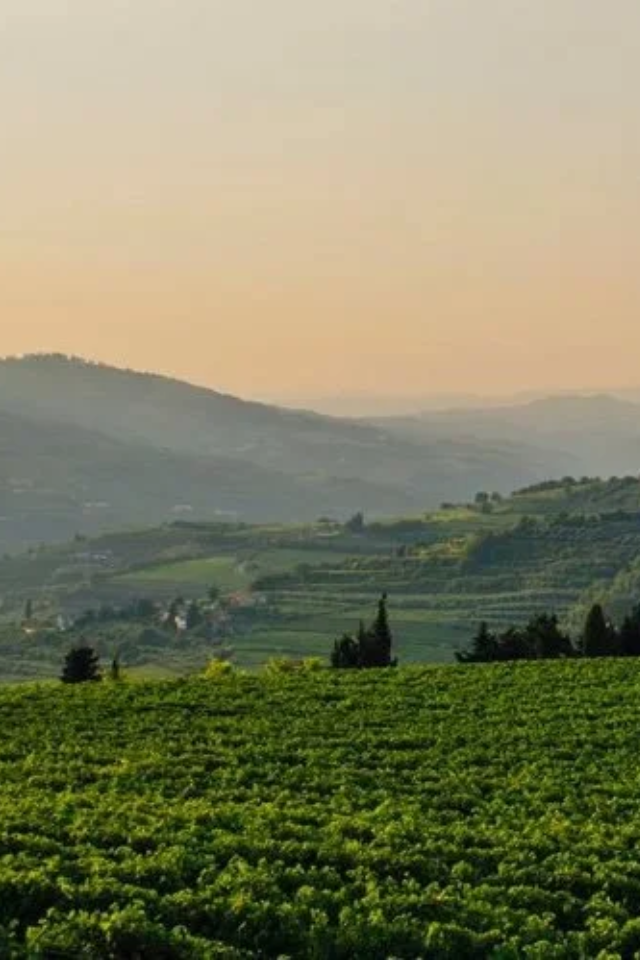 2023 Il Barroccio Nero d'Avola