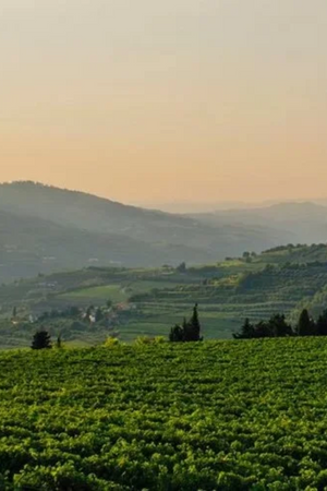2023 Il Barroccio Nero d'Avola
