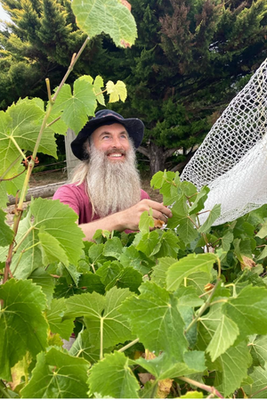 2025 Blood Moon Wines 'Sang des Etoiles' Sangiovese