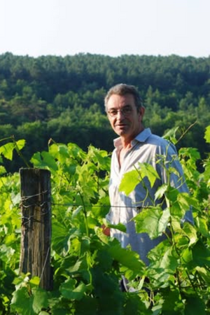 2021 Domaine de la Garrelière Touraine 'Les 2 Amis' Gamay/Cab Franc