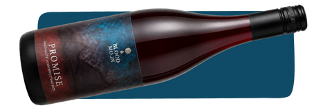 6 Pack - Intro to Natural Wine