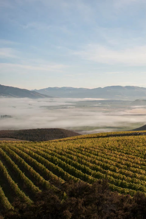 2022 Prophet's Rock Cuvée Aux Antipodes Chardonnay