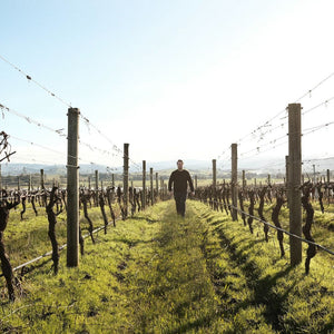 2024 Punt Road Chardonnay