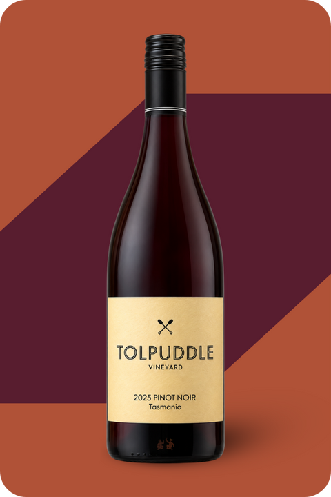 2025 Tolpuddle Pinot Noir