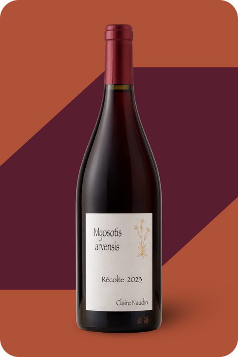 2023 Claire Naudin Hautes-Côtes de Nuits 'Myosotis Arvensis' Bourgogne Rouge
