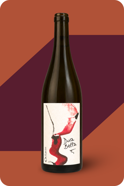 2023 'Dorabella' Poulsard