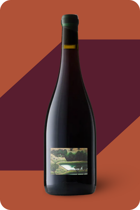 2024 'Bull Swamp' Pinot Noir