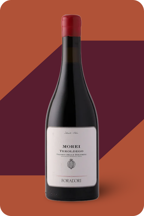 2023 'Morei' Teroldego