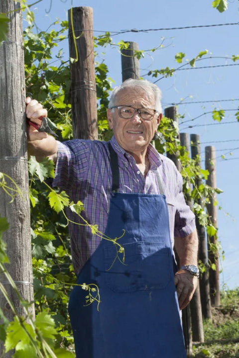 2021 Luciano Sandrone Barolo Le Vigne