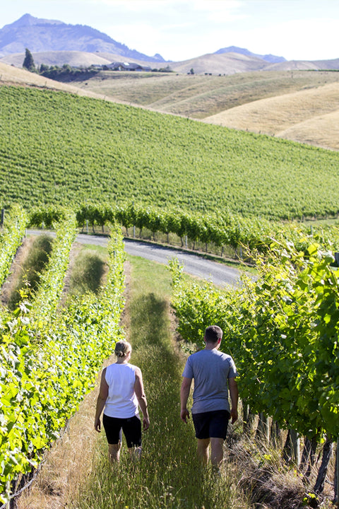 2023 Scout Central Otago Pinot Noir