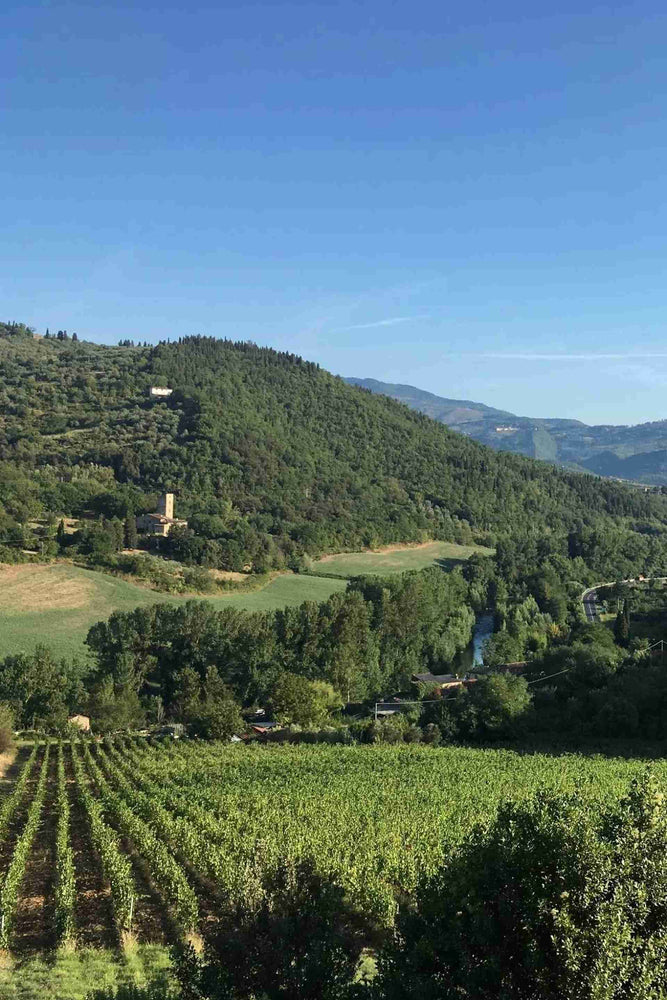 2022 Selvapiana Chianti Rufina Riserva 'Bucerchiale'