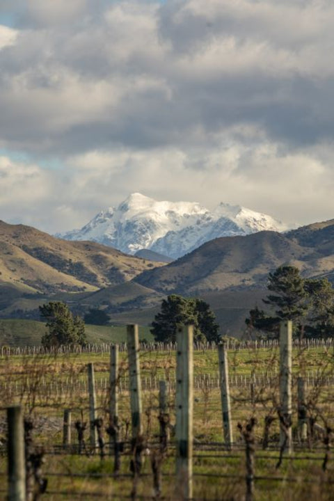 2022 Swiftsure Bannockburn Pinot Noir