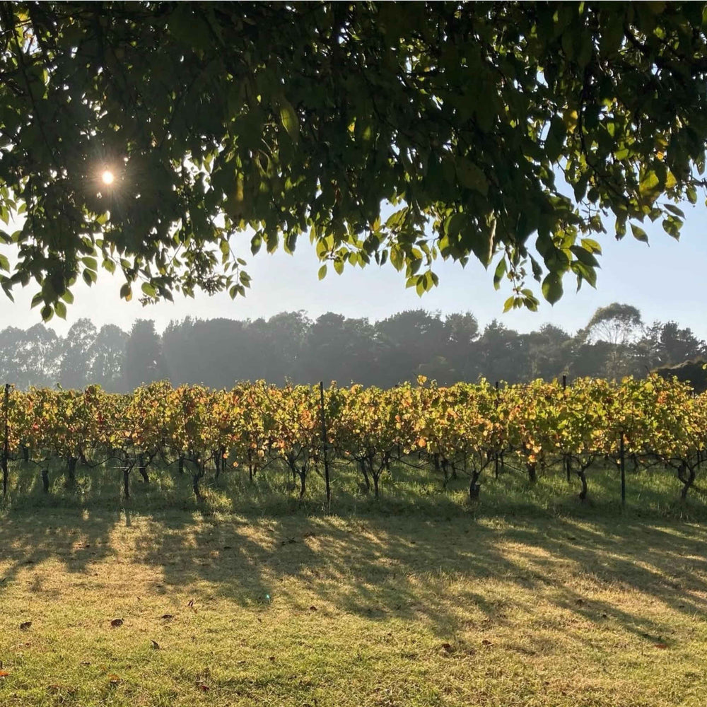 The Wine Farm: New Release Tasting - Admit One