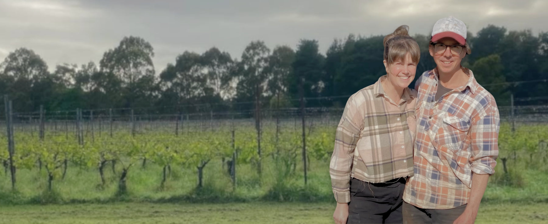 The Wine Farm