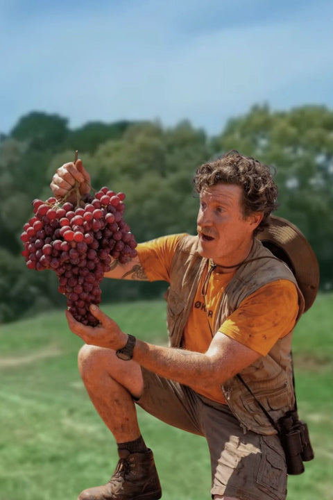 2025 Unico Zelo 'Truffle Hound' Barbera Nebbiolo