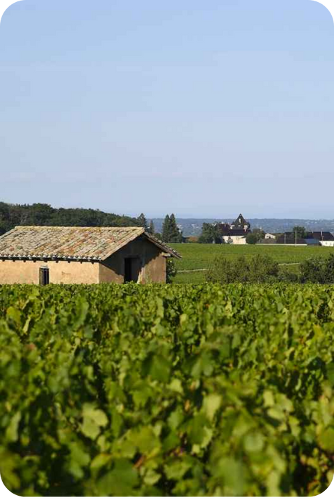 2022 Fleurie Beaujolais